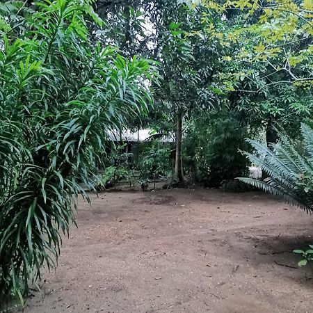 Sigiri Mango Garden Eco Resort Sigiriya Eksteriør billede