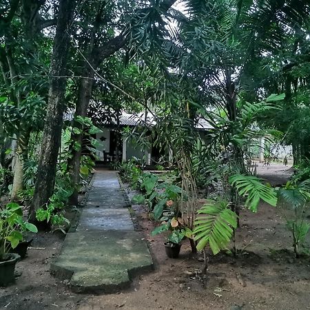 Sigiri Mango Garden Eco Resort Sigiriya Eksteriør billede