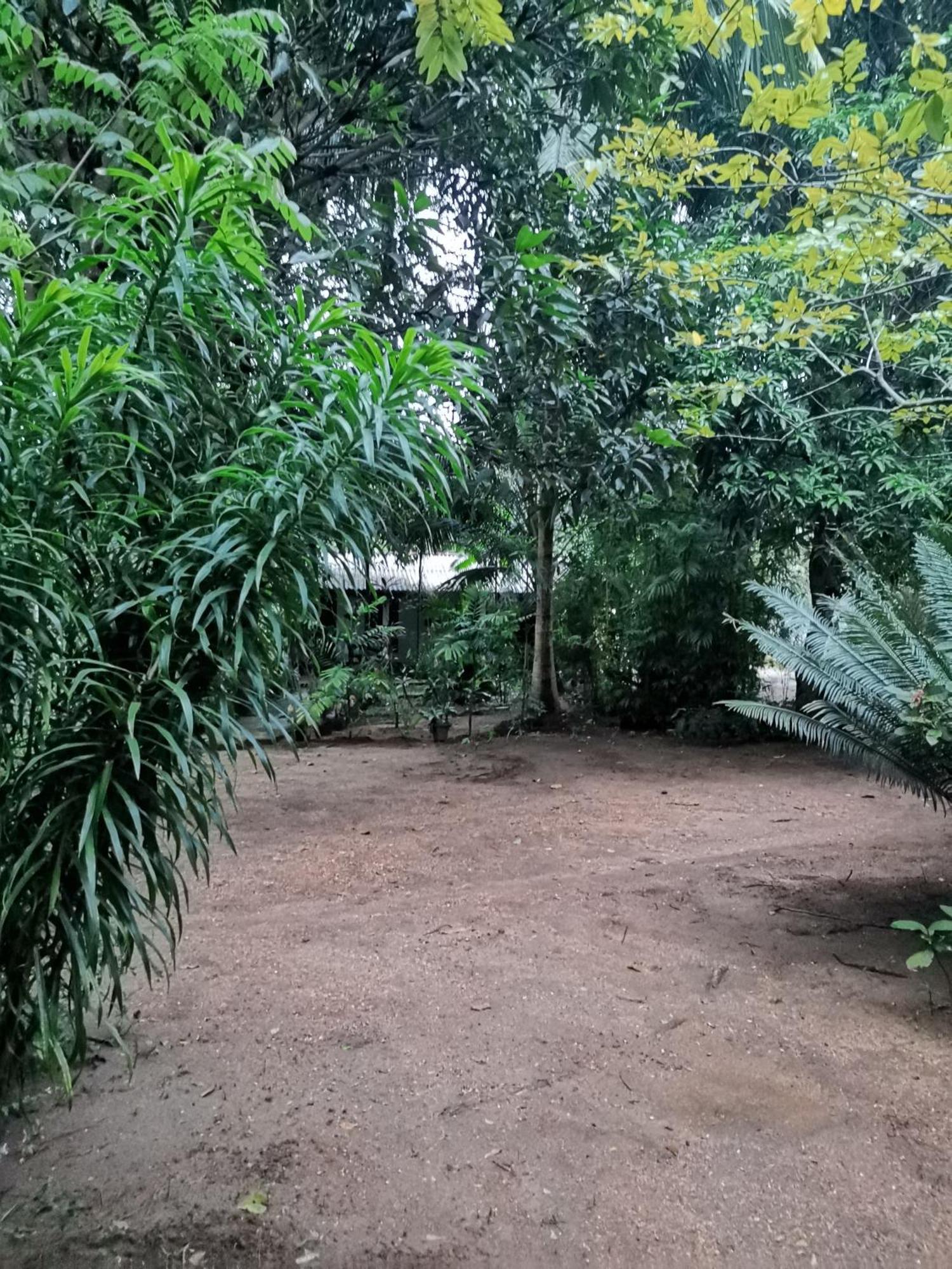 Sigiri Mango Garden Eco Resort Sigiriya Eksteriør billede