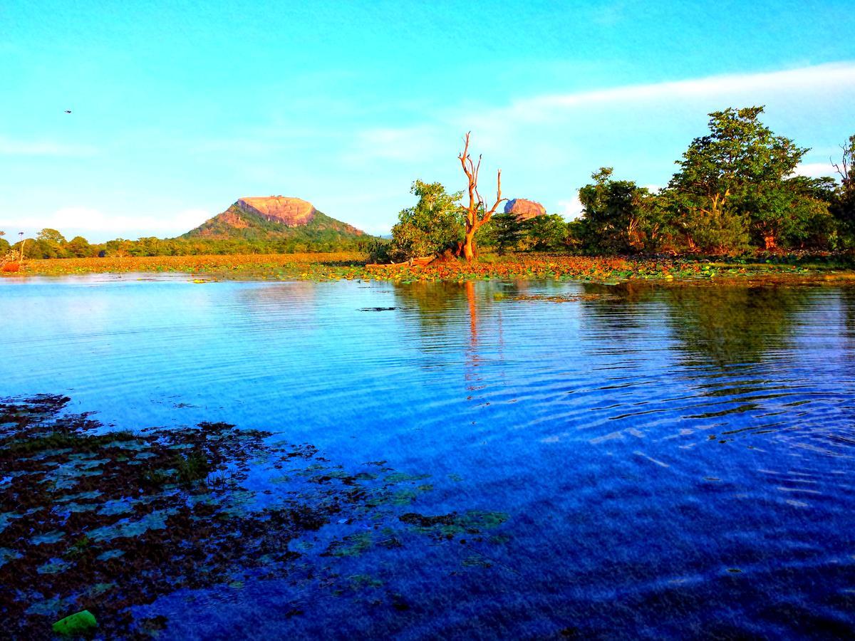 Sigiri Mango Garden Eco Resort Sigiriya Eksteriør billede