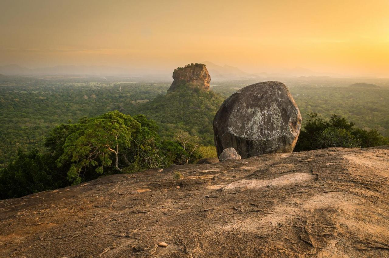 Sigiri Mango Garden Eco Resort Sigiriya Eksteriør billede