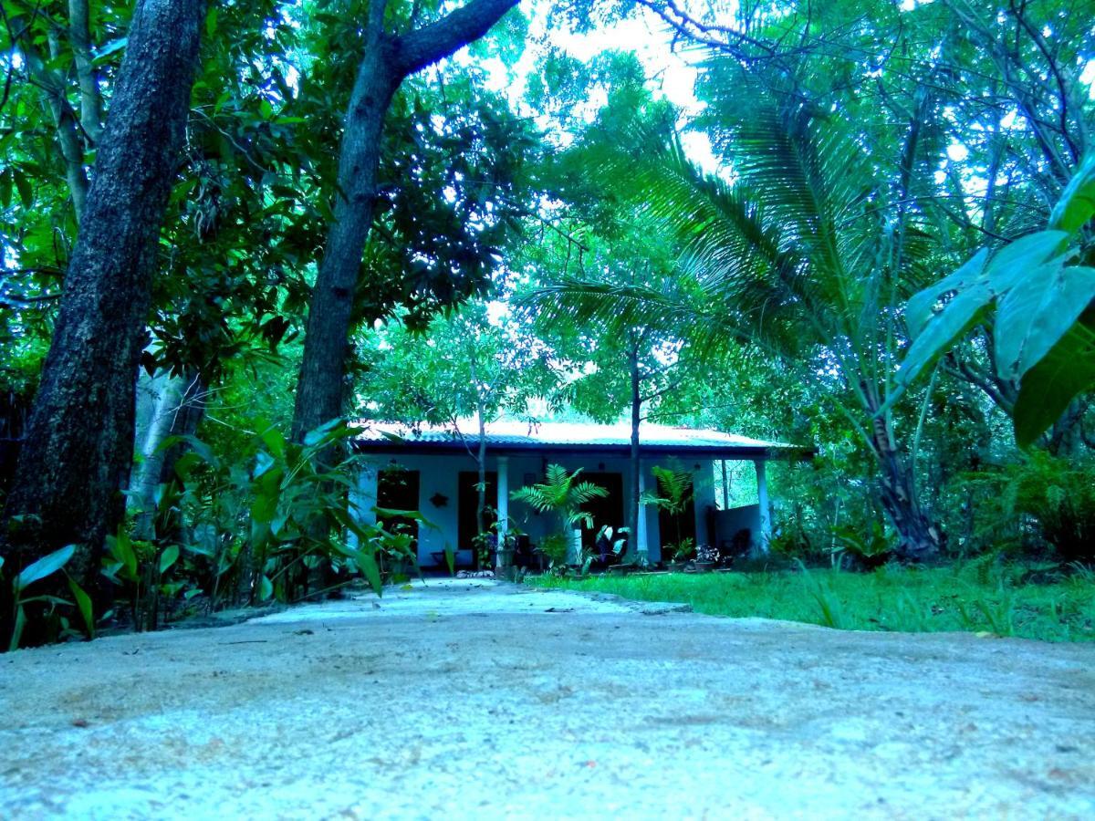 Sigiri Mango Garden Eco Resort Sigiriya Eksteriør billede